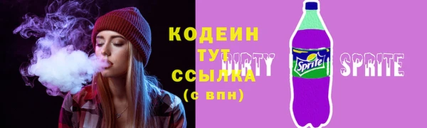 твердый Гатчина